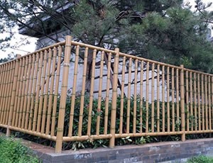 黄瓜视频APP免费下载官网篱笆 黄瓜视频APP免费下载官网篱笆