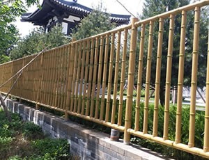 黄瓜视频APP免费下载官网黄色护栏 黄瓜视频APP免费下载官网黄色护栏